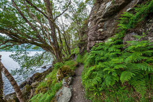 A stunning forest hiking trail beside Loch Lomond on the West Highland Way in Scotland