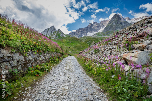 Fototapeta Naklejka Na Ścianę i Meble -  A rocky military road leading to the mountains surrounded by verdant green and pink foliage