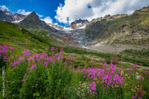 A landscape photo of the European Alps in the height of summer