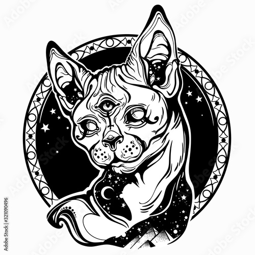 Egyptian sphynx cat on the background of stars and Egyptian pyramids