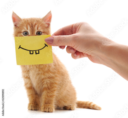 Little red kitten with emoticons.