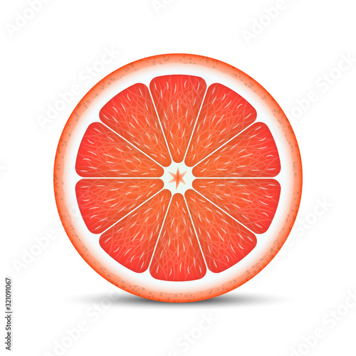 Realistic grapefruit slice