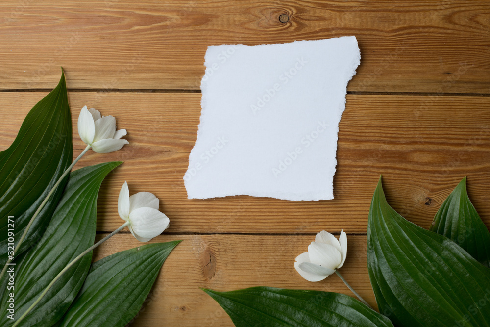 Fototapeta premium wooden background, there is free space for text