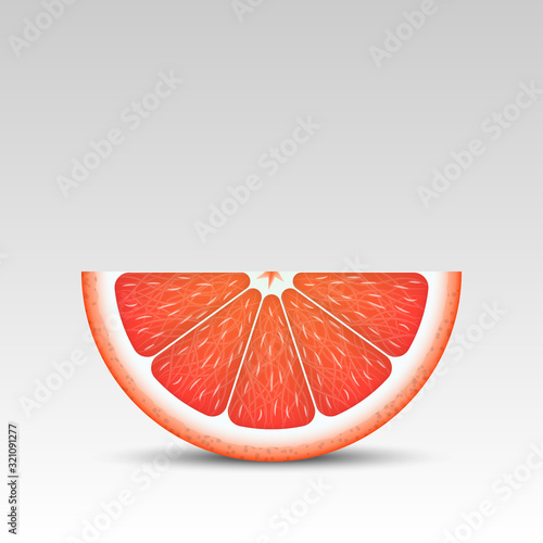 Realistic grapefruit slice