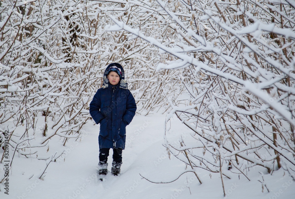 portrait of a boy in the winter forest