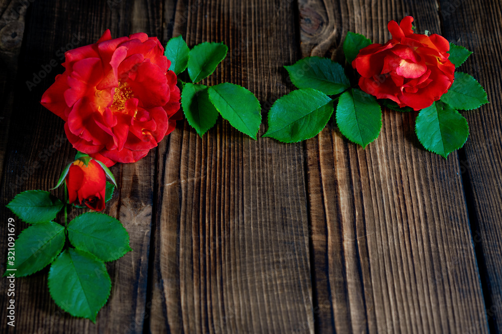 beautiful red roses on a wooden background