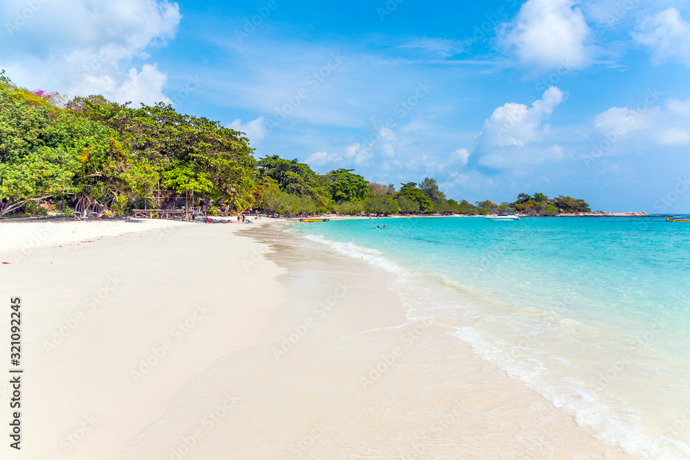 beautiful tropical beach with palms