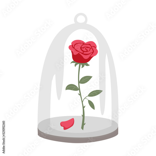 Rose in a flask of glass on the white background.