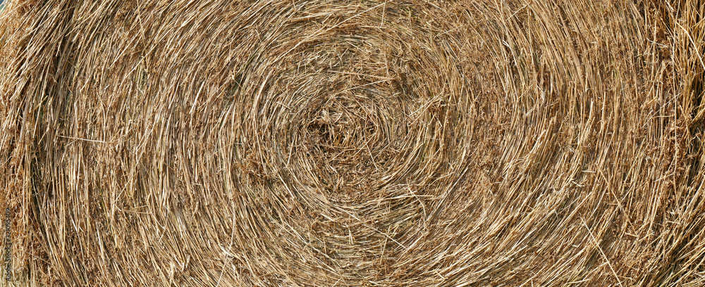 Dry wheat pattern. Round bale of hay closeup. Harvesting background for design. Dry wheat pattern. Round bale of hay closeup. Harvesting background for design.