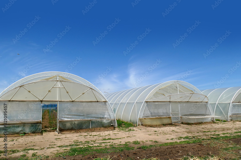 Vegetable greenhouses copy space. Vegetarianism background for design Vegetable greenhouses copy space. Vegetarianism background for design