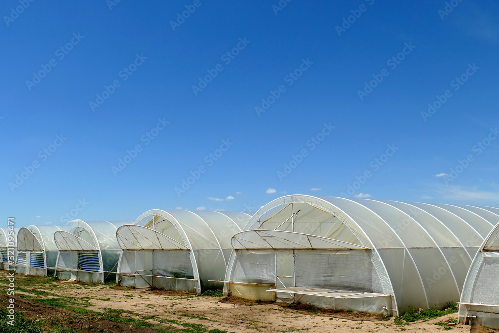 White greenhouses. Harvest in the winter. Growing pattern for design. Vegetarianism copy space. White greenhouses. Harvest in the winter. Growing pattern for design. Vegetarianism copy space.