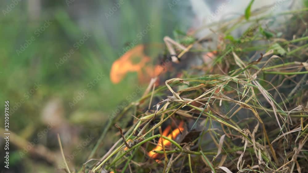 Burning grass that affects the environment Pollution Burning grass that affects the environment Pollution