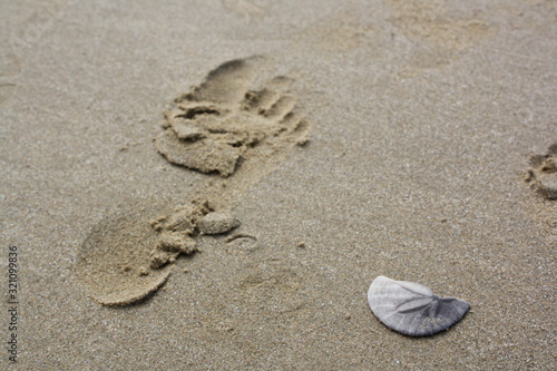 Footprint in Sand with Broken Sand Dollar