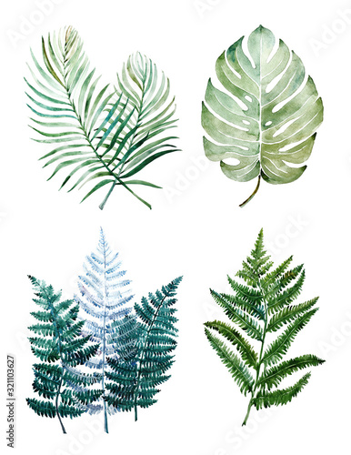 Beautiful watercolor tropical leaves painted on white paper