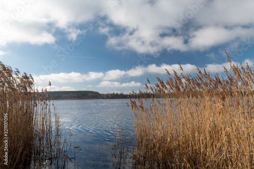 Der Dreifelder Weiher im Westerwald