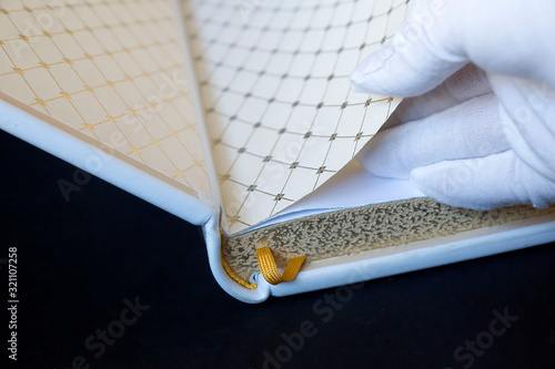 French binding, handmade books, case made of genuine leather with gold embossing.