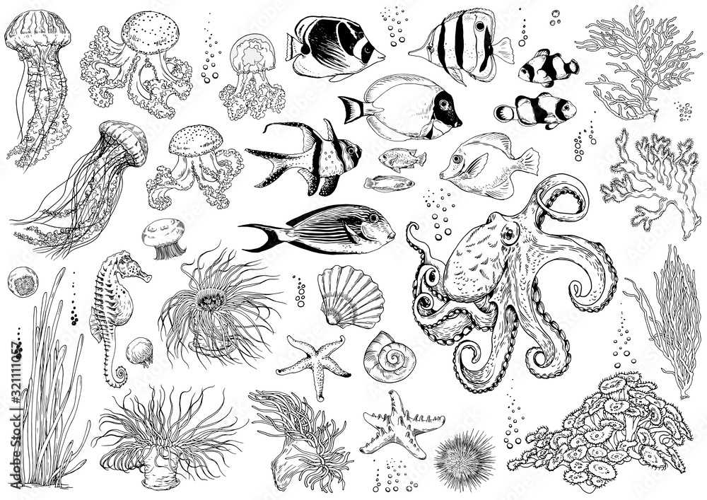 Set of underwater creatures, corals and tropical fishes. Stock Vector ...