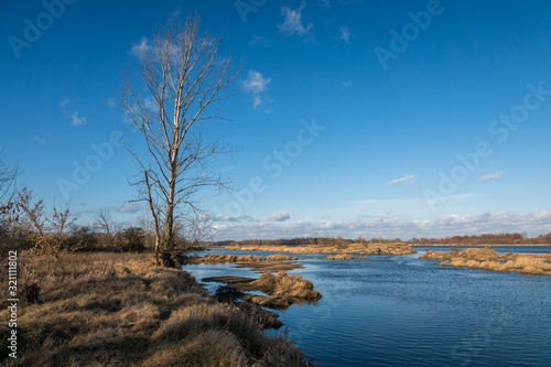 Vistula river at sunny day near Mniszew, Poland photo