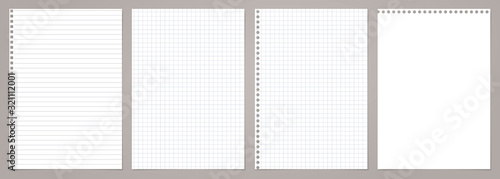 White lined and squared note, notebook paper stuck on grey backgroud. Vector illustration