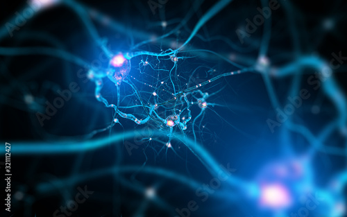 Neurons and nervous system. 3d render of nerve cells
