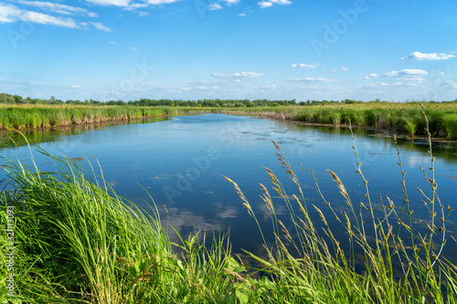 Blue sky over a small wild forest lake on summer day