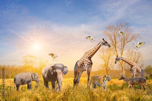 Naklejka Large group of african safari animals. Wildlife conservation concept