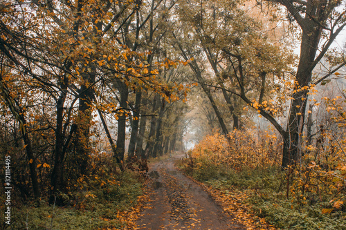 autumn in the park © Денис Лаврентьев