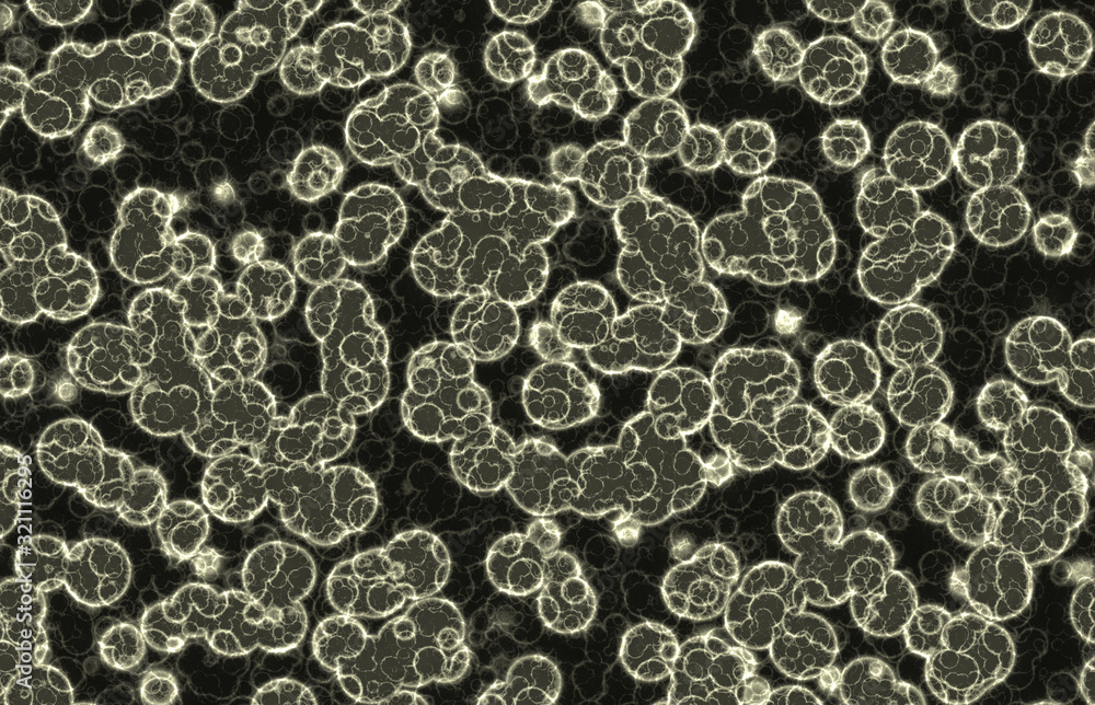 round colored cells round colored cells