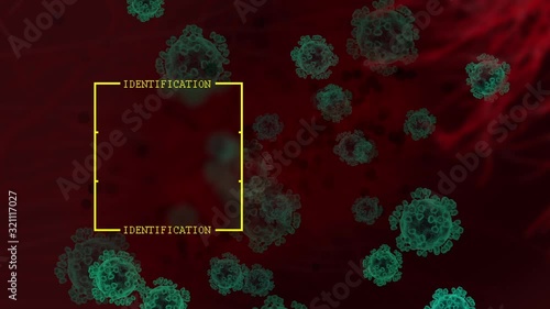 A new little-known virus on the screen of the research lab. Detection and classification of a dangerous virus 