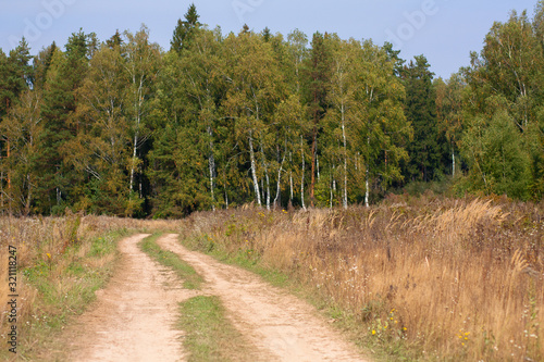 Beautiful winding rural country dusty road running through a field of dry brown and green grass to a forest of birch trees on a sunny summer windy day. Rest in the village, a walk in nature