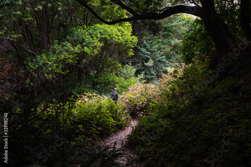 Woman hiker walking in a lush green forest in Big Sur California © Sigfrido
