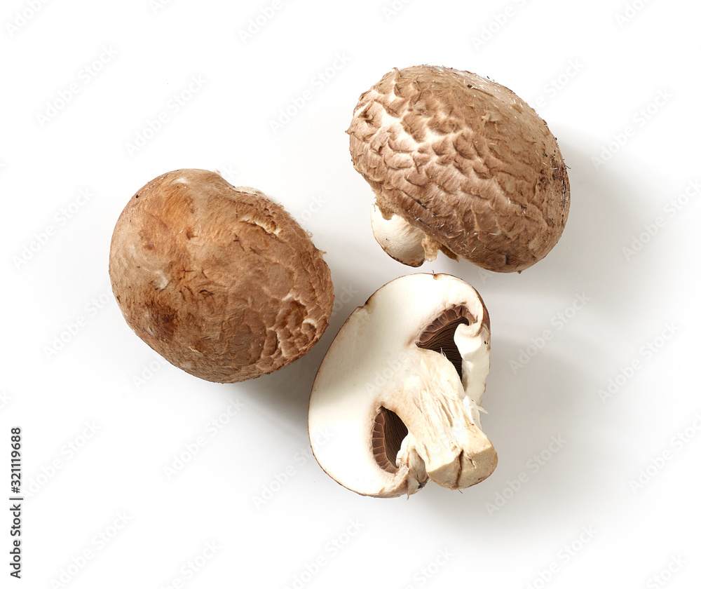 fresh mushrooms on white background fresh mushrooms on white background