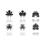 Brazilian carnival hat drop shadow black glyph icons set. Crown with plumage. Traditional headwear. Ethnic festival. National holiday. Masquerade parade. Isolated vector illustrations on white space
