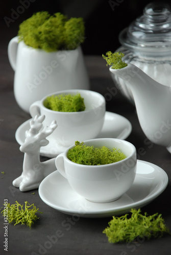 Magical tea party. Kettle and cups with moss.