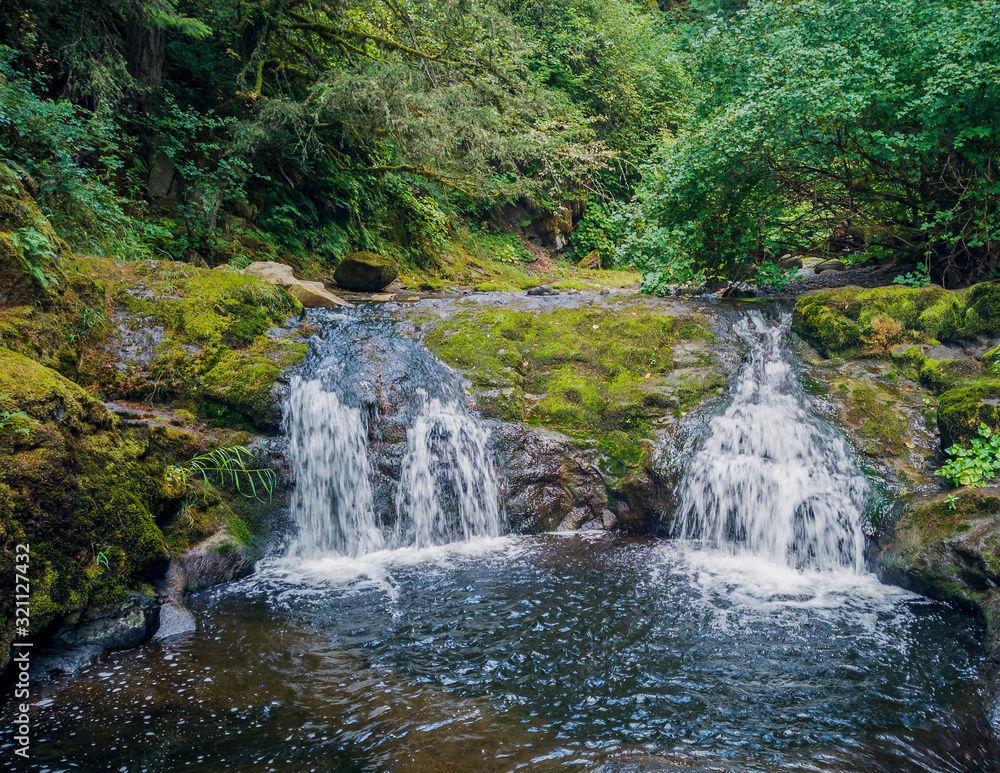 Remarkable Lower Little Mashel Falls cascading into a moss covered rocky surface leading to a small pool of water in the creek at the Charles Pack Forest during the summer in Pierce County Washington 