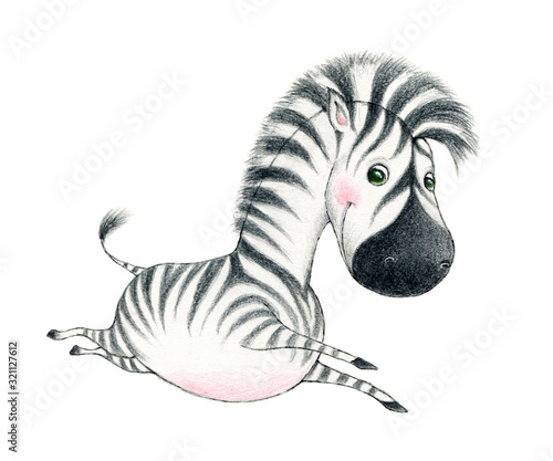 Cute baby zebra on a white background