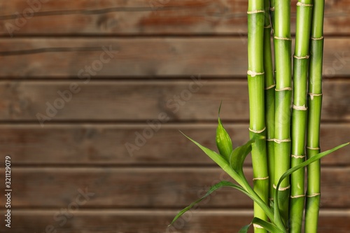 Fototapeta Naklejka Na Ścianę i Meble -  Many bamboo stalks on wooden background