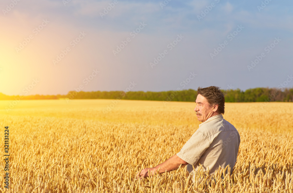 farmer standing in a wheat field farmer standing in a wheat field