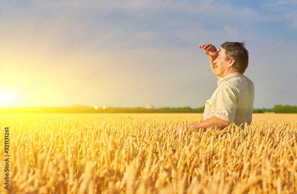 farmer standing in a wheat field farmer standing in a wheat field