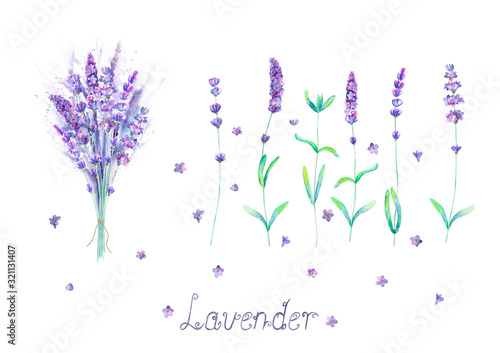Lavender flowers, bouquet, lettering purple green watercolor set isolated on white background
