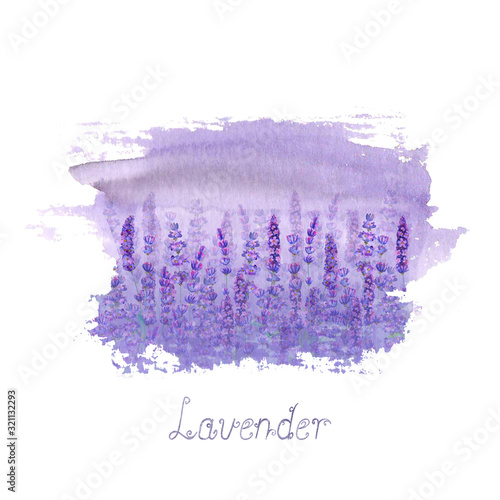 Lavender field pattern on p...