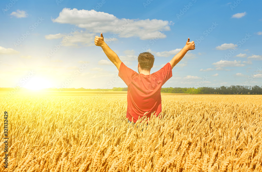 happy farmer, businessman, standing in wheat field with his hands and thumbs up happy farmer, businessman, standing in wheat field with his hands and thumbs up