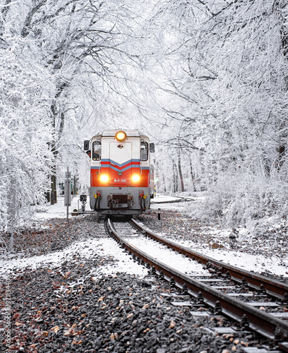 Winter forest scene with sn...