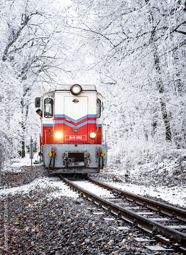 Winter forest scene with sn...
