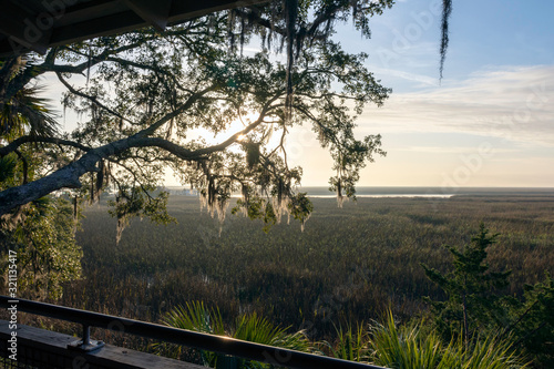 Spanish moss hanging from a live oak tree overlooks the salt marsh on Sapelo Island in the lowcountry of coastal Georgia, USA.