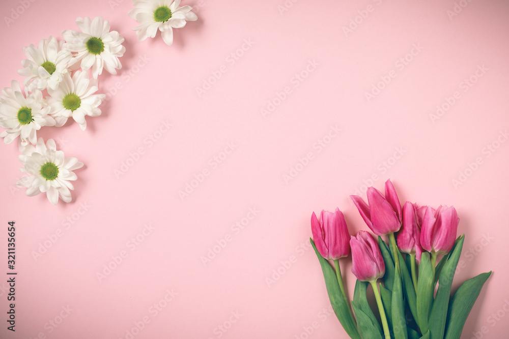 Spring tulips lie on a beautiful pink background. Background for International Women's Day. Spring tulips lie on a beautiful pink background. Background for International Women's Day.