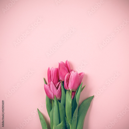 Spring tulips lie on a beautiful pink background. Background for International Women's Day.