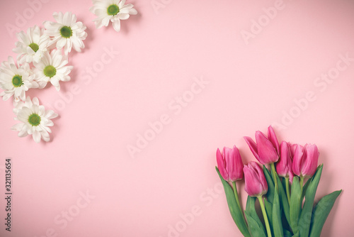 Spring tulips lie on a beautiful pink background. Background for International Women's Day. © DmytroKozak