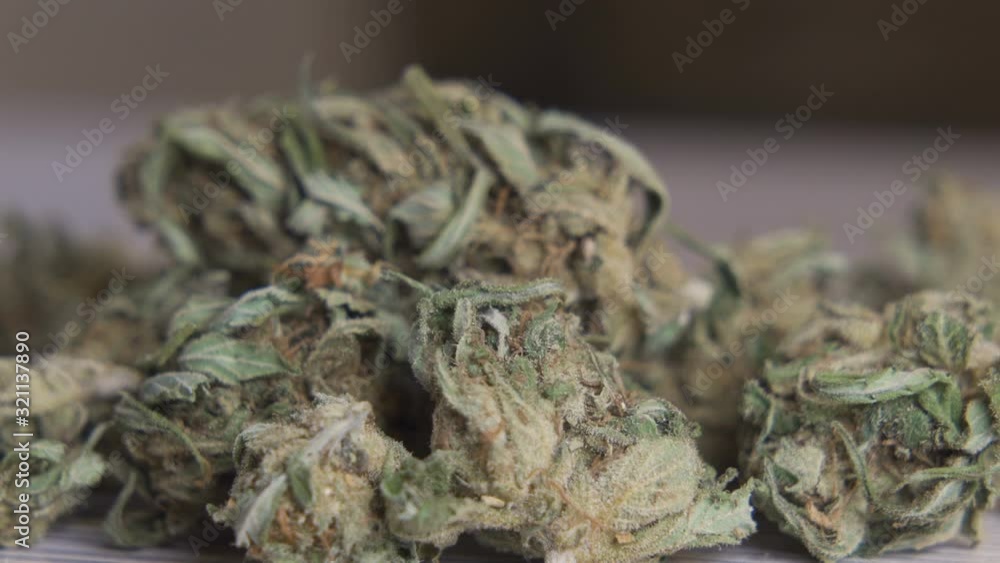A small dried and cured high quality Organic Hemp CBD Flower Buds A small dried and cured high quality Organic Hemp CBD Flower Buds
