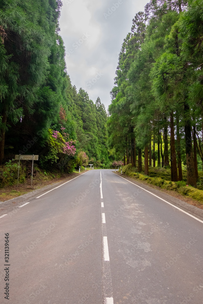 Road next to Lagoa das Patas lake in Terceira island, Azores, Portugal